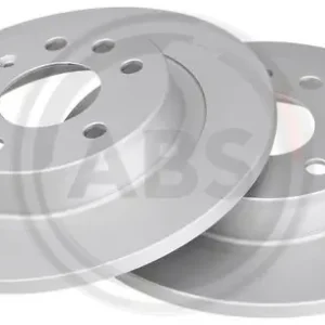 Ambachtelijk Remschijven ABS 17369