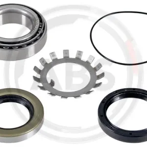 Wiellagerset ABS 200124 Hoge Kwaliteit