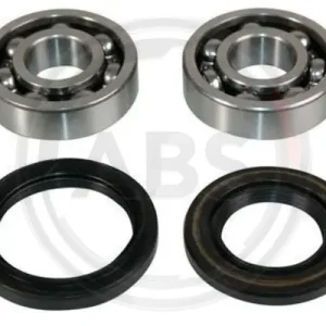 Koopje Wiellagerset ABS 200164