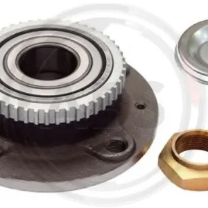 Direct Verzonden Wielnaaf ABS 200218