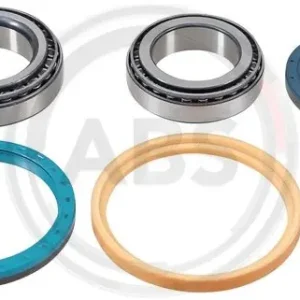 Alleen Vandaag Wiellagerset ABS 200313