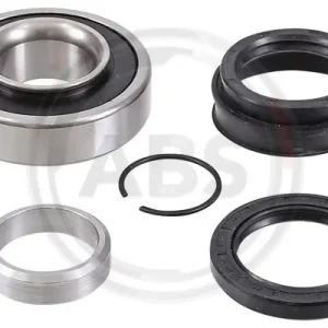Betrouwbaar Wiellagerset ABS 201369