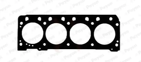 Budget Cilinderkop pakking Payen AD5580