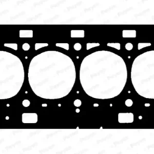 Limited Edition Cilinderkop pakking Payen AD5980