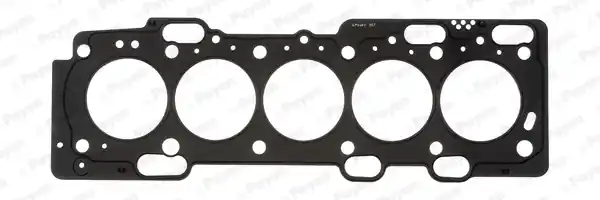 Geld-Terug-Garantie Cilinderkop pakking Payen AE5300