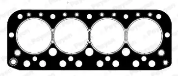 Cilinderkop pakking Payen AF470 Veilige Betaling