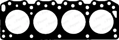 Cilinderkop pakking Payen AF880 Koopje