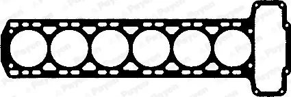 Beperkt Aanbod Cilinderkop pakking Payen AG570