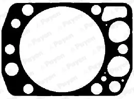 Cilinderkop pakking Payen AG9330 Nieuwe Collectie