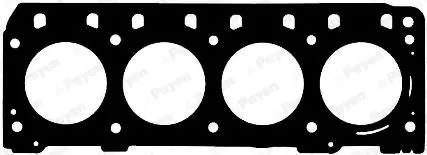 Cilinderkop pakking Payen AG9450 Exclusieve Aanbieding