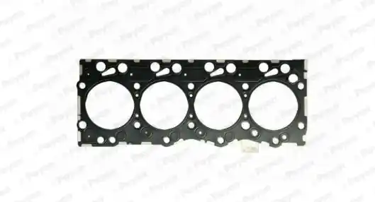 Cilinderkop pakking Payen AG9510 Luxe