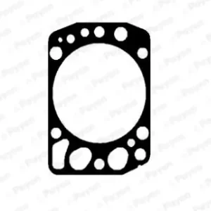 Cilinderkop pakking Payen AH5430 Veilige Betaling