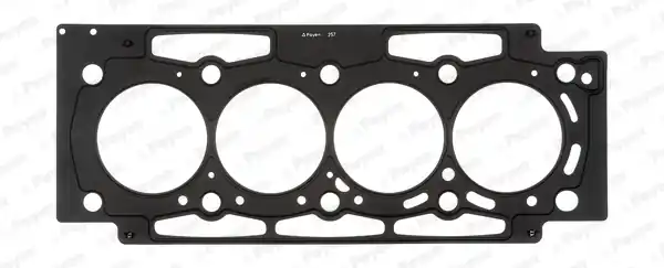 Cilinderkop pakking Payen AH6630 Geld-Terug-Garantie