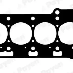 Gecertificeerd Cilinderkop pakking Payen AH7420
