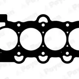 Professioneel Cilinderkop pakking Payen AH7460