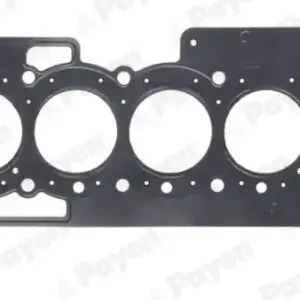 Cilinderkop pakking Payen AH8220 Veilige Betaling