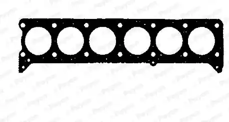 Direct Verzonden Cilinderkop pakking Payen AH870