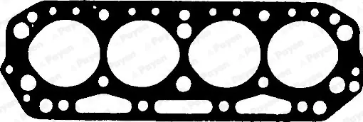 Populair Cilinderkop pakking Payen AJ520