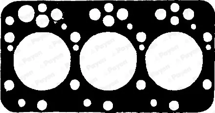 Bestel Nu Cilinderkop pakking Payen AN110