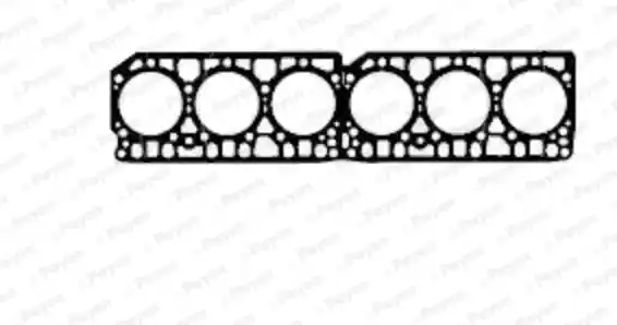 Express Levering Cilinderkop pakking Payen AS470
