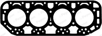 Exclusief Cilinderkop pakking Payen BN320