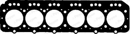 Origineel Cilinderkop pakking Payen BW120