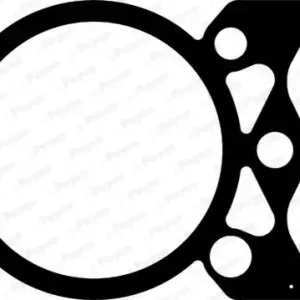 Cilinderkop pakking Payen BW390 Wereldwijde Verzending