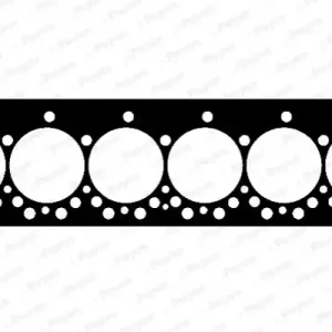 Nu Kopen Cilinderkop pakking Payen BW920