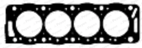 Betrouwbaar Cilinderkop pakking Payen BX900