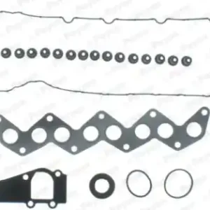 Cilinderkop pakking set\\/kopset Payen CD5490 Tijdelijk Beschikbaar