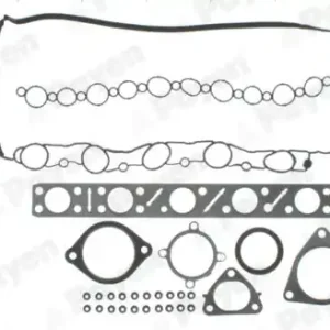 Nieuw Model Cilinderkop pakking set\\/kopset Payen CE5260