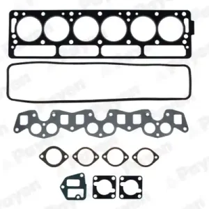 Cilinderkop pakking set\\/kopset Payen CG901 Luxe