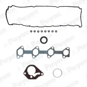 Cilinderkop pakking set\\/kopset Payen CG9490 Merkproduct