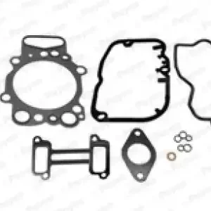 Cilinderkop pakking set\\/kopset Payen CH5671 Korting