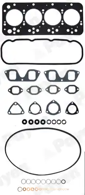 Laatste Kans Cilinderkop pakking set\\/kopset Payen CN465