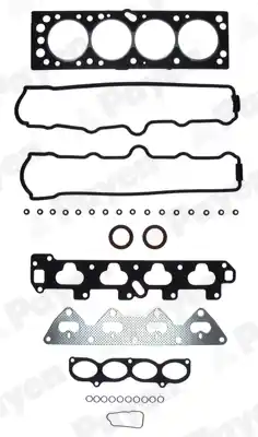 Cilinderkop pakking set\\/kopset Payen CY210 Topkwaliteit