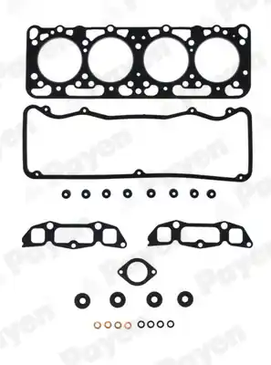 Cilinderkop pakking set\\/kopset Payen DE960 Fabrieksprijs