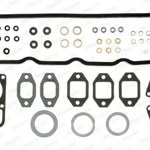 Geld-Terug-Garantie Cilinderkop pakking set\\/kopset Payen DG050