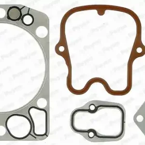 Cilinderkop pakking set\\/kopset Payen DG853 Authentiek