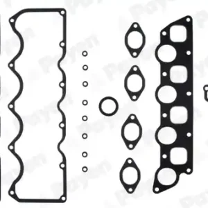 Cilinderkop pakking set\\/kopset Payen DH080 Authentiek