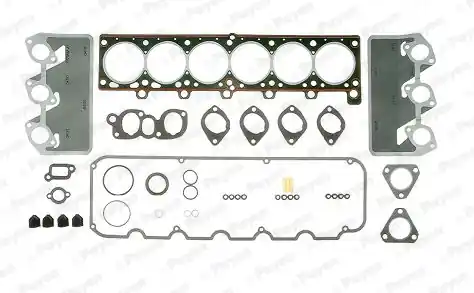Plaats Bestelling Cilinderkop pakking set\\/kopset Payen DL681