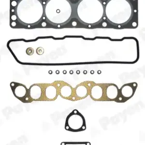 Voordeelprijs Cilinderkop pakking set\\/kopset Payen DM580