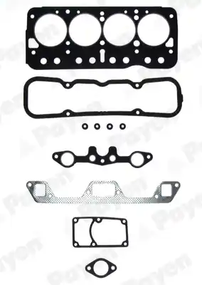 Flitsaanbieding Cilinderkop pakking set\\/kopset Payen DN041