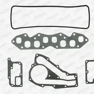 Exclusieve Aanbieding Cilinderkop pakking set\\/kopset Payen DN684