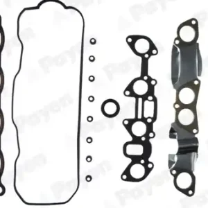 Bulkbestelling Cilinderkop pakking set\\/kopset Payen DP920