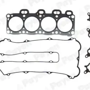 Cilinderkop pakking set\\/kopset Payen DR850 Favoriet
