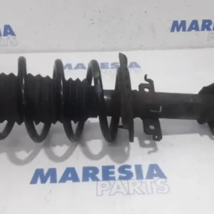 Veerpoot RENAULT KANGOO Express (FW0/1_) Professioneel