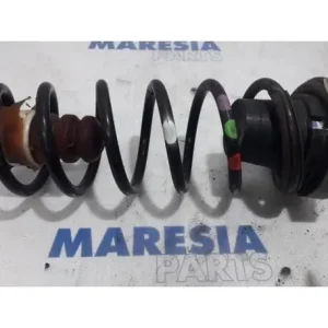 Chassisveer CITROËN BERLINGO Box Body/MPV (B9), CITROËN BERLINGO Platform/Chassis (B9) Handgemaakt