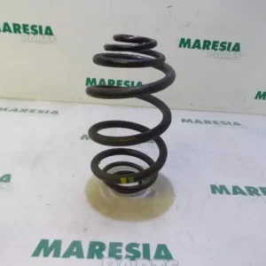 Shop Nu Chassisveer RENAULT Trafic II Kasten (FL)