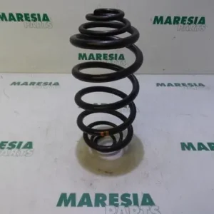 Groothandel Chassisveer RENAULT KANGOO Express (FW0/1_)